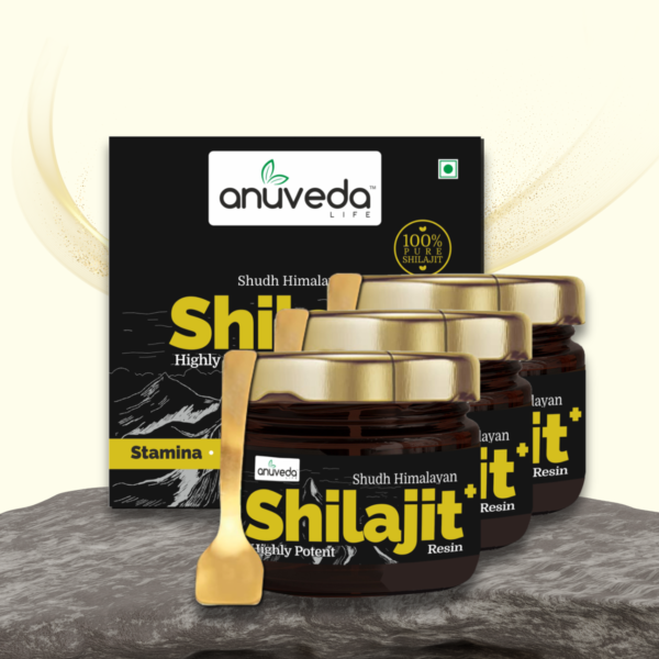 anuveda LIFE Shudh Himalayan Shilajit Resin, 20 Gram, Pack of 3