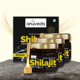 anuveda LIFE Shudh Himalayan Shilajit Resin, 20 Gram, Pack of 3