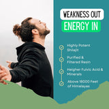 anuveda LIFE Shudh Himalayan Shilajit Resin, 20 Gram, Pack of 2