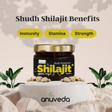 anuveda LIFE Shudh Himalayan Shilajit Resin, 20 Gram