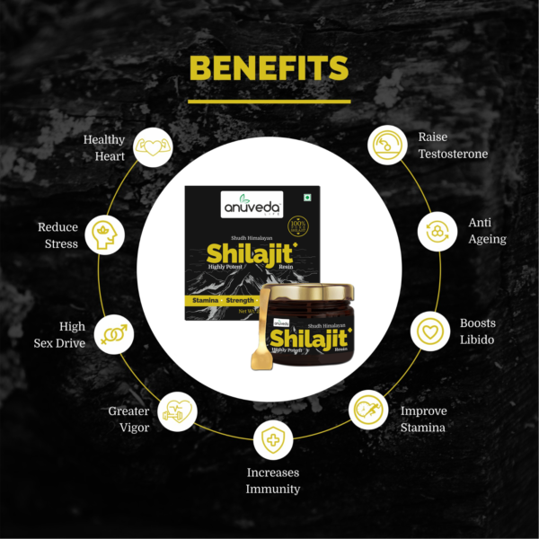 anuveda LIFE Shudh Himalayan Shilajit Resin, 20 Gram