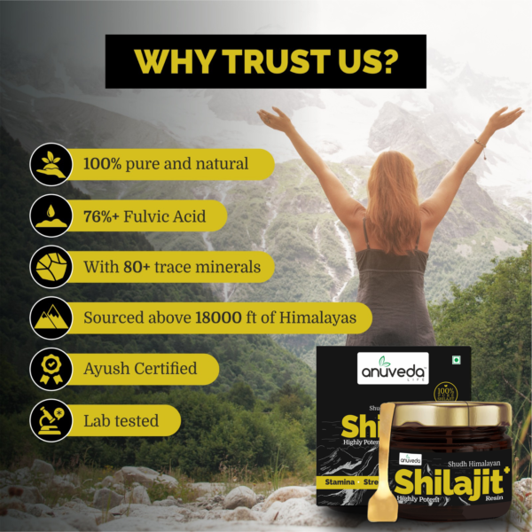 anuveda LIFE Shudh Himalayan Shilajit Resin, 20 Gram