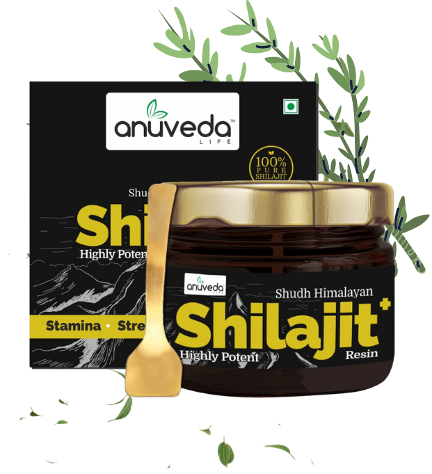 anuveda LIFE Shudh Himalayan Shilajit Resin, 20 Gram, Pack of 3