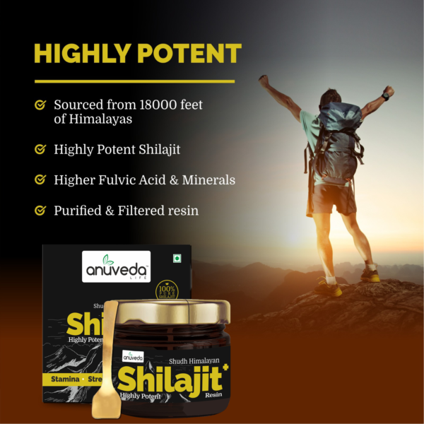 anuveda LIFE Shudh Himalayan Shilajit Resin, 20 Gram, Pack of 2